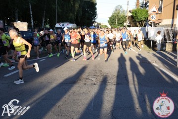 IMG_7039.jpg