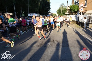 IMG_7065.jpg
