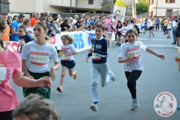 DSC_2511.jpg