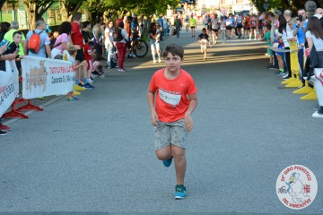DSC_2600.jpg