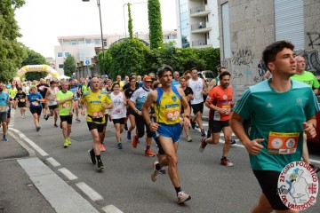 DSC_8388.jpg