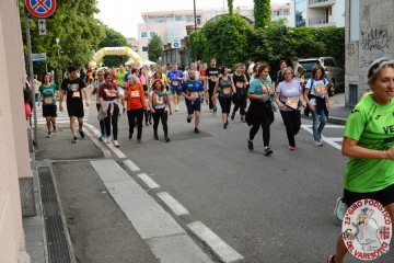 DSC_8446.jpg