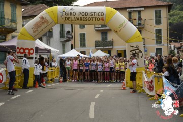 _DSC0826.JPG