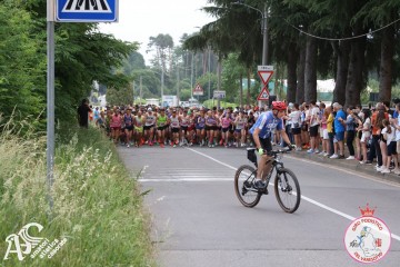 IMG_3527.jpg
