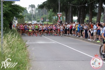 IMG_3529.jpg