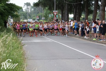IMG_3531.jpg