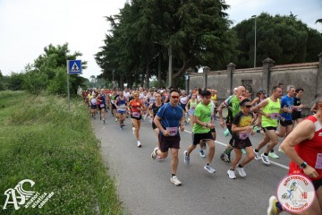 IMG_3587.jpg