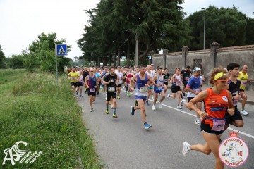 IMG_3590.jpg