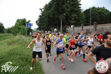 IMG_3617.jpg