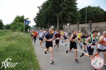 IMG_3629.jpg