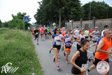 IMG_3645.jpg