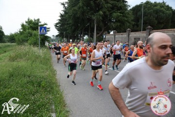 IMG_3653.jpg