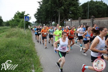 IMG_3655.jpg