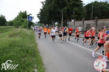 IMG_3683.jpg