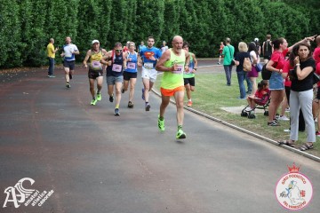 IMG_4229.jpg