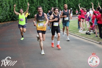 IMG_4282.jpg