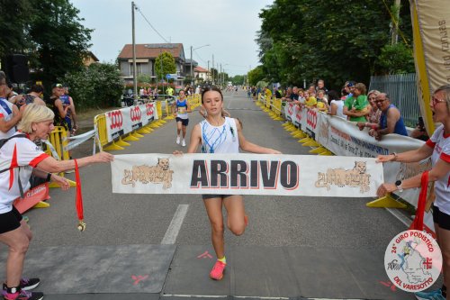 minigiro
